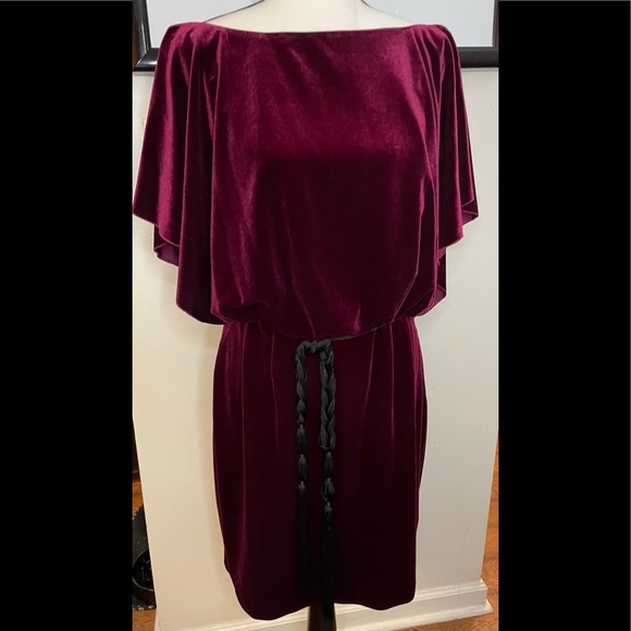 NWOT Berry Velvet Dress. Preserved for 10years, now certainly “One of a kind.” - Picture 3 of 5